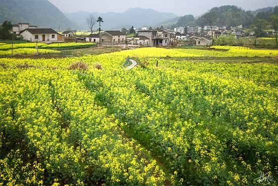 精品消费网 精品消费网