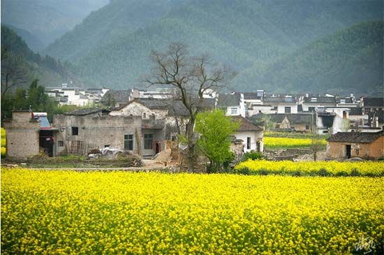 精品消费网 精品消费网