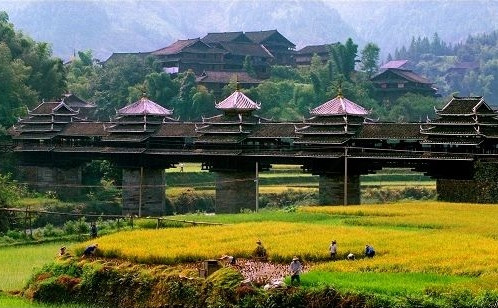 精品消费网 精品消费网