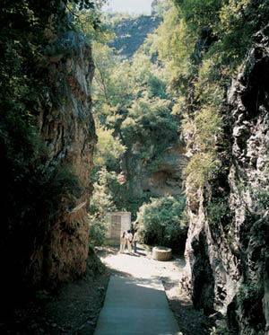 ��Ʒ������