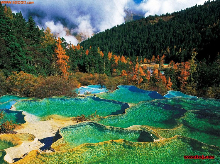 精品消费网 精品消费网