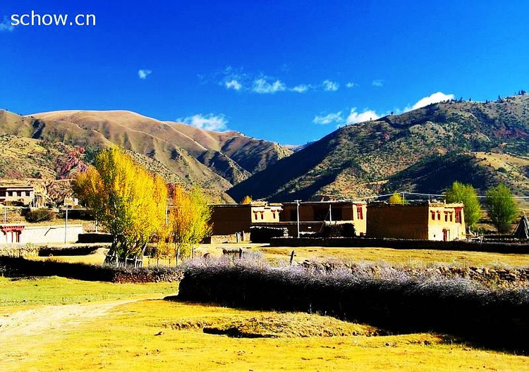 精品消费网 精品消费网