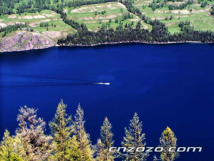 ��Ʒ������