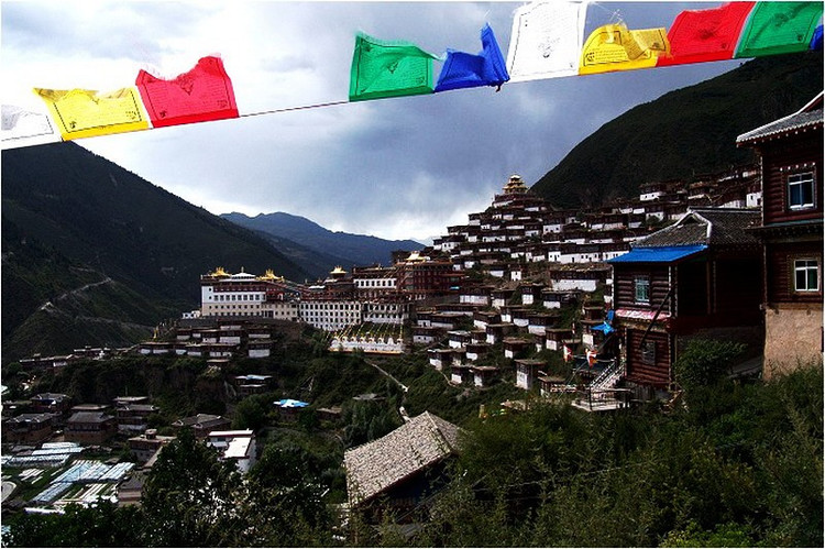 精品消费网 精品消费网