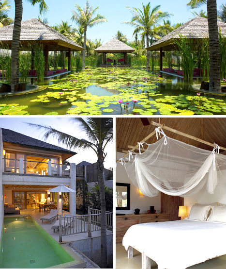 ��Ʒ������