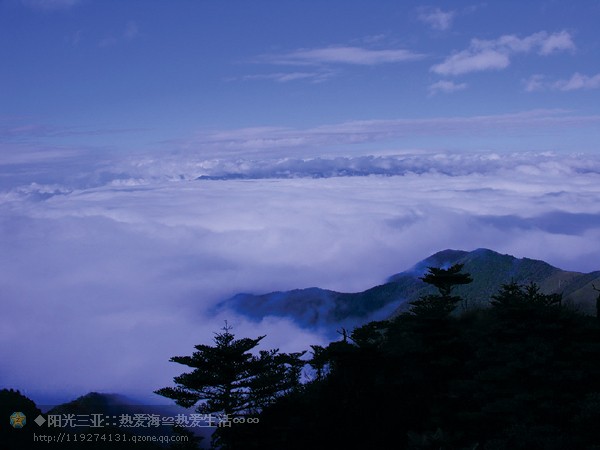 ��Ʒ������