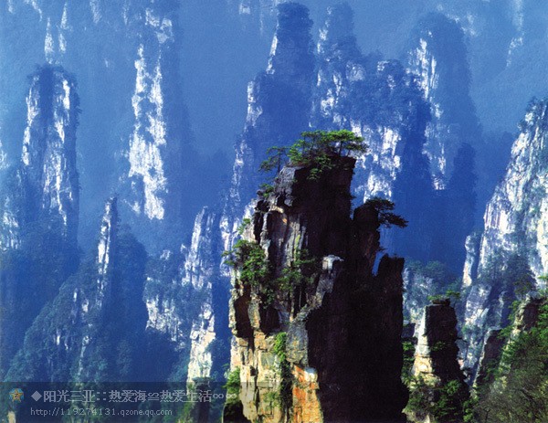 ��Ʒ������