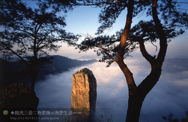 ��Ʒ������