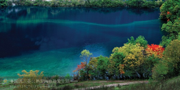 ��Ʒ������