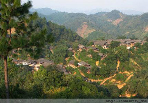 精品消费网 精品消费网