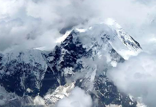 精品消费网 精品消费网