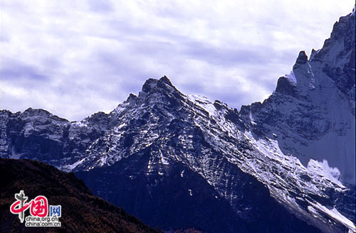 精品消费网 精品消费网