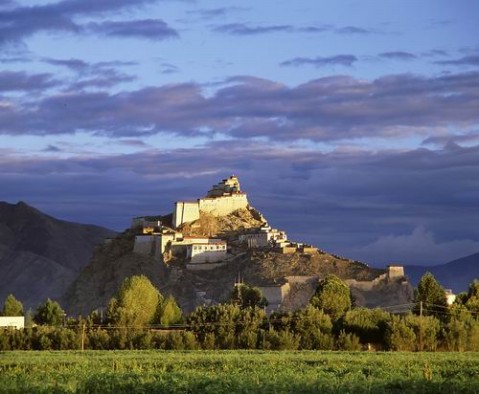 ��Ʒ������