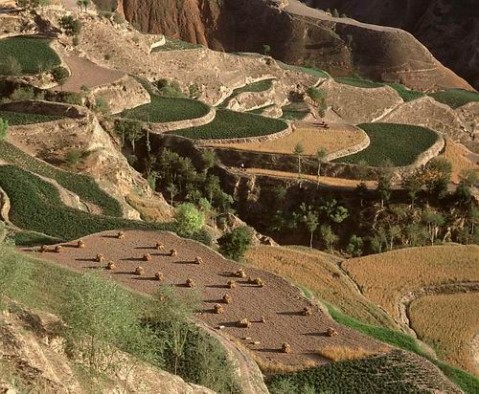 ��Ʒ������