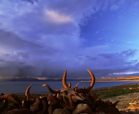 ��Ʒ������