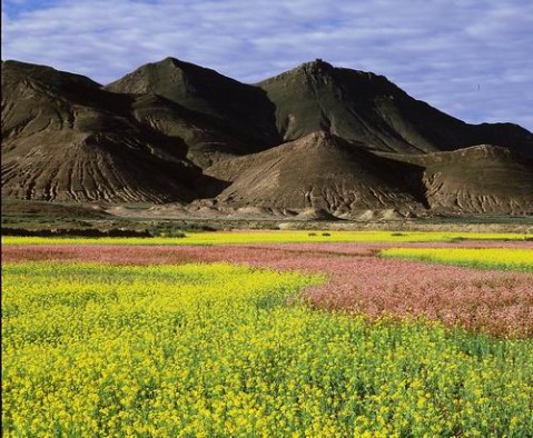 ��Ʒ������