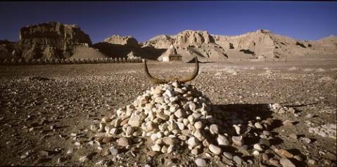 ��Ʒ������