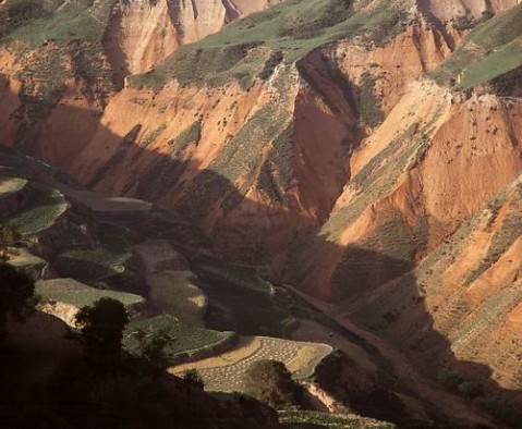 ��Ʒ������