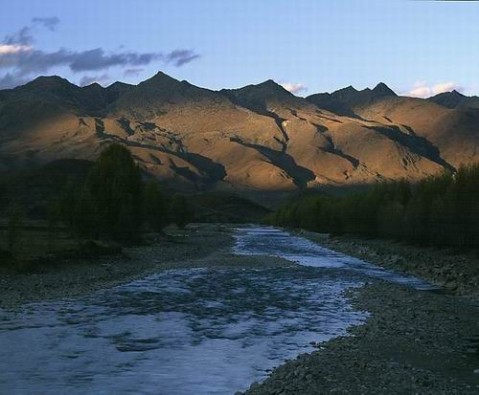 ��Ʒ������