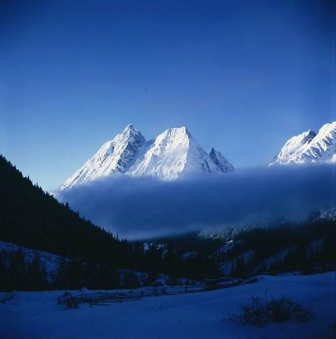 ��Ʒ������