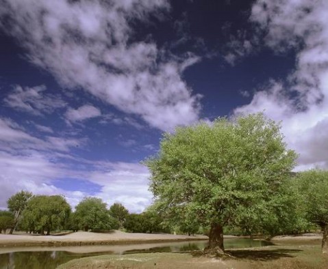 ��Ʒ������