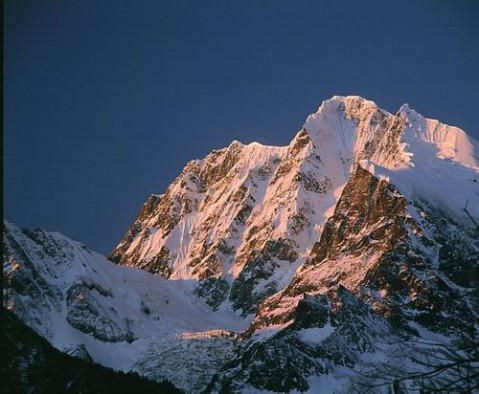 ��Ʒ������