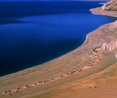 ��Ʒ������