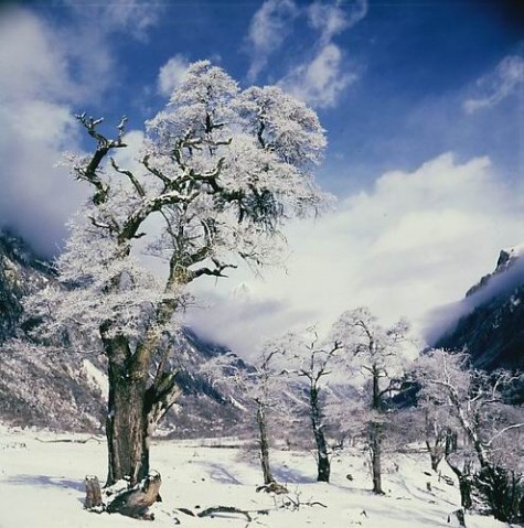 ��Ʒ������