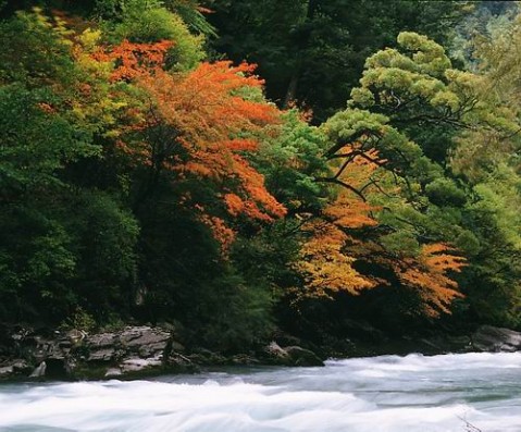 ��Ʒ������