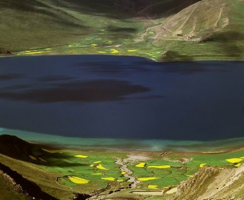 ��Ʒ������