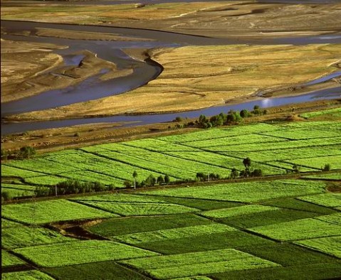 ��Ʒ������