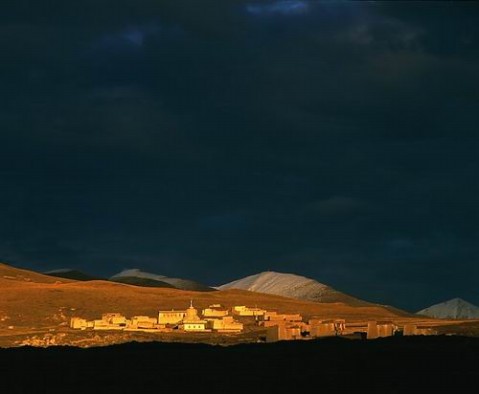 ��Ʒ������