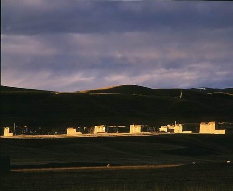 ��Ʒ������