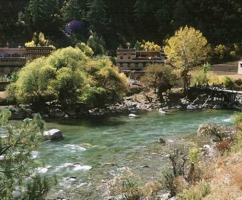 ��Ʒ������