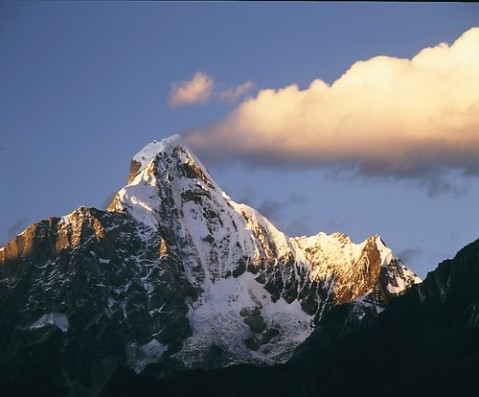 ��Ʒ������