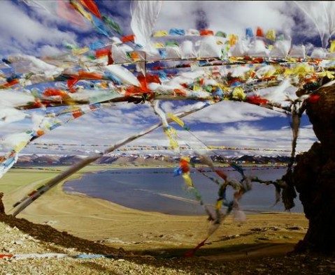 ��Ʒ������