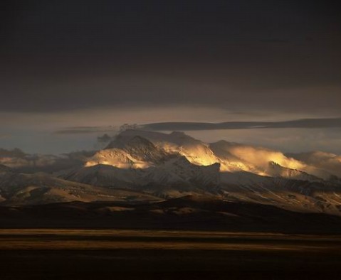 ��Ʒ������