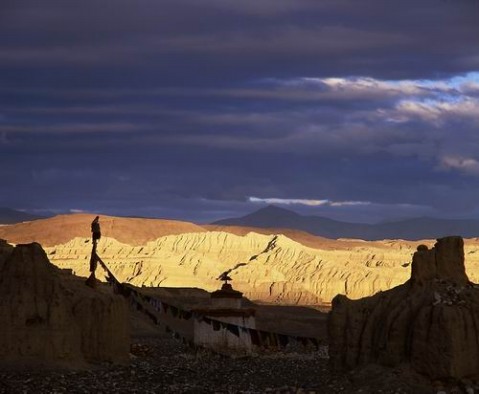 ��Ʒ������