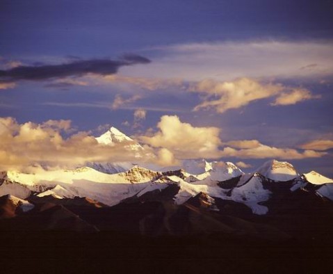 ��Ʒ������