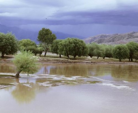 ��Ʒ������