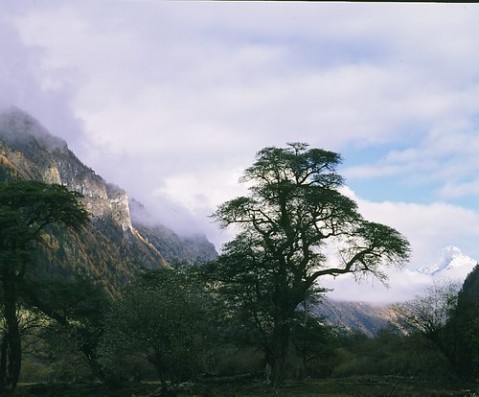 ��Ʒ������