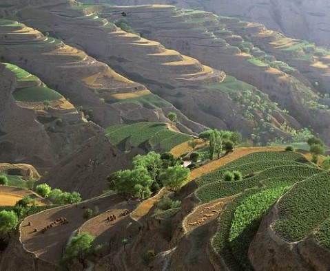 ��Ʒ������