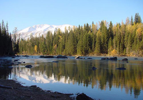 ��Ʒ������