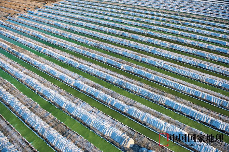 ��Ʒ������