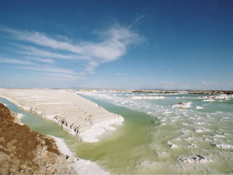 ��Ʒ������