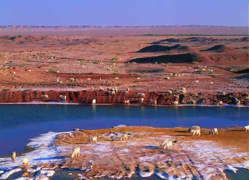 ��Ʒ������