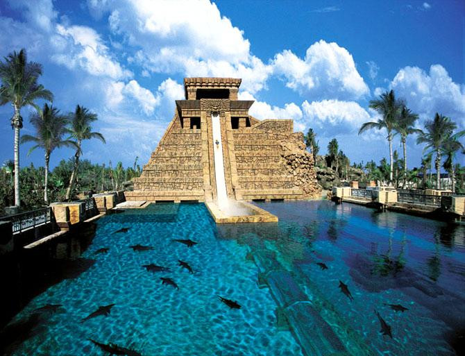 ��Ʒ������