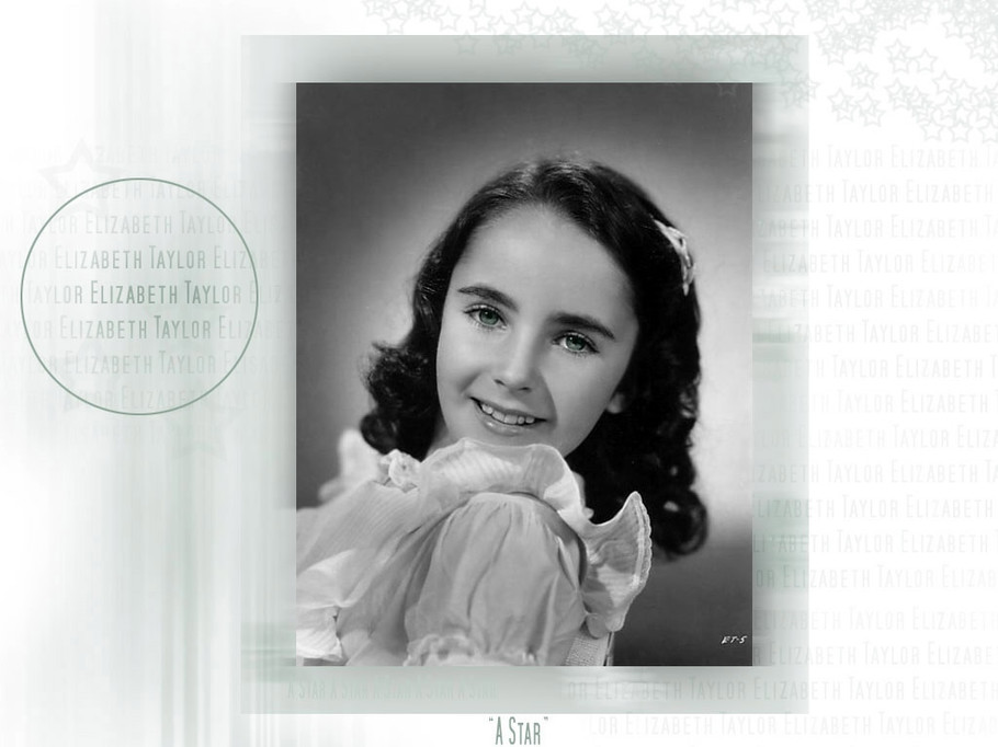 精品消费网 精品消费网