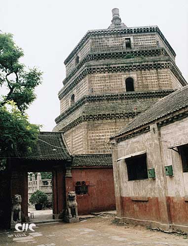 ��Ʒ������