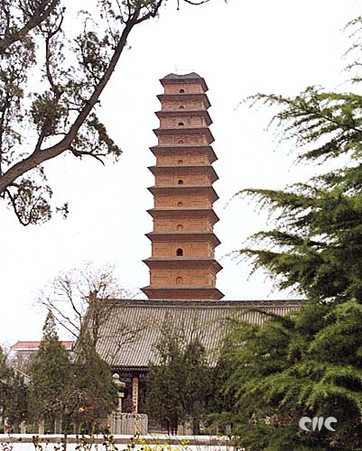 ��Ʒ������